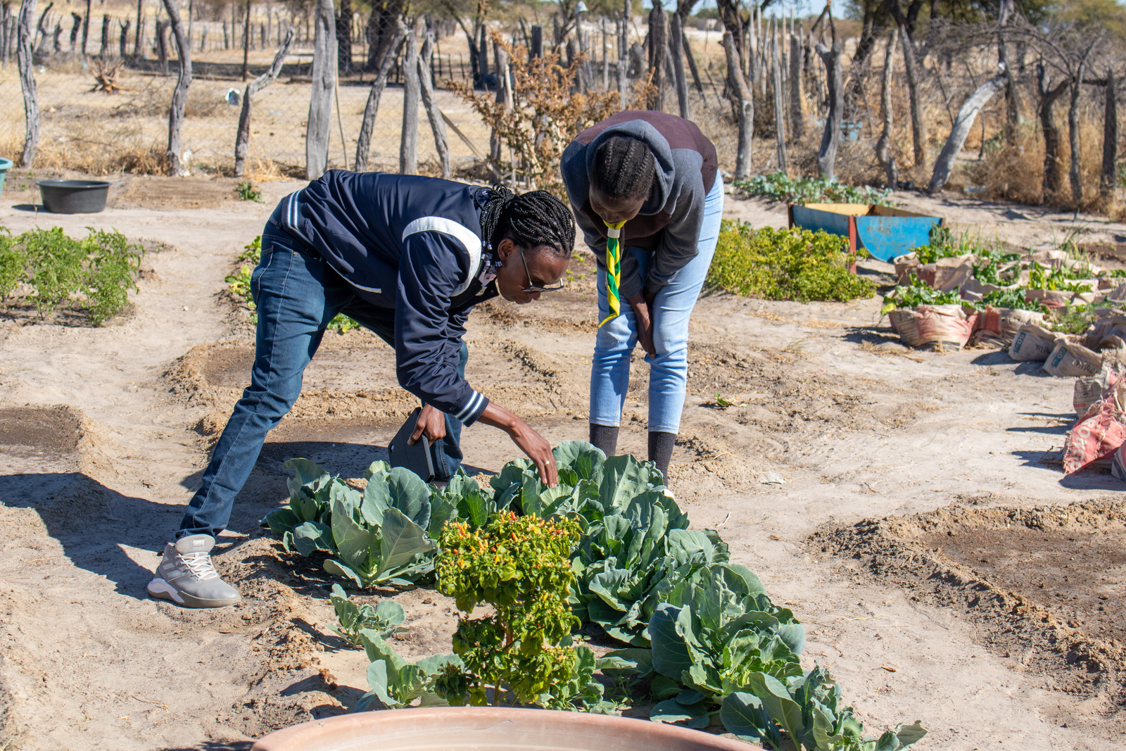 Food for Life Project in Namibia
